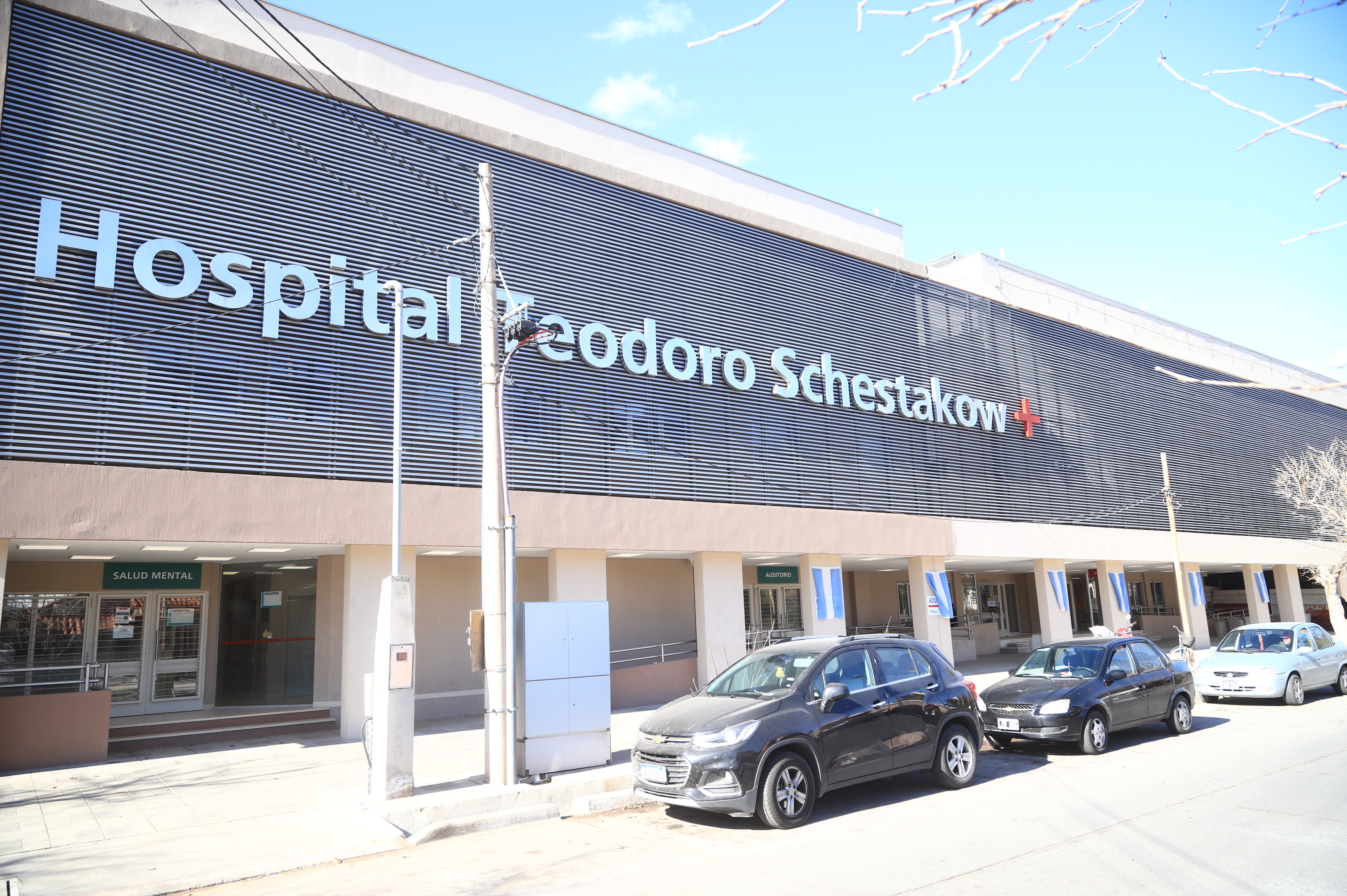 Explicaron en qué  consiste  la donación de células hematopoyéticas
