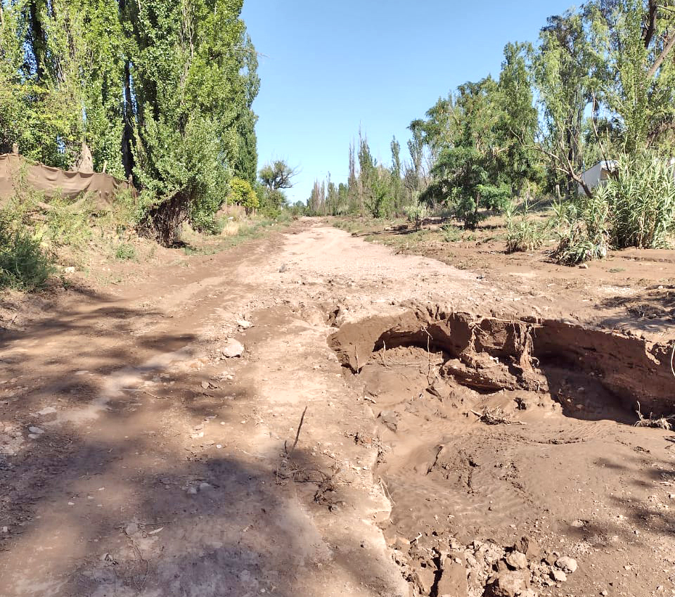 Las últimas tormentas causaron daños del 100% en algunas zonas