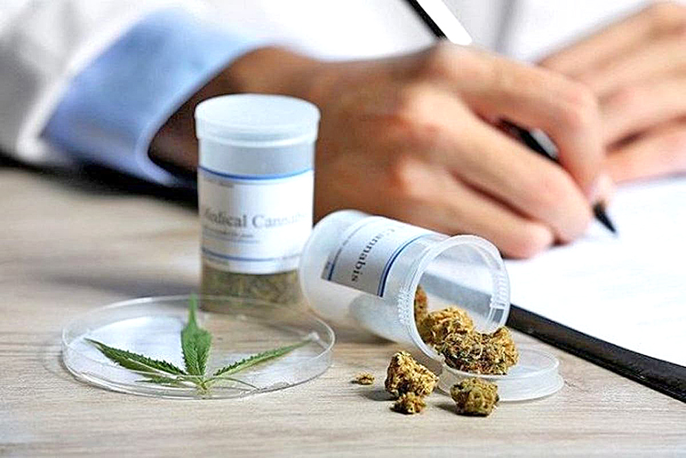 Legislador dio detalles sobre las ventajas de que se aprobara el uso medicinal de cannabis