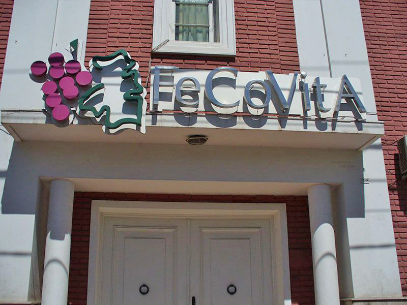Desde Fecovita aseguran que 2020  “fue un año positivo” para la vitivinicultura