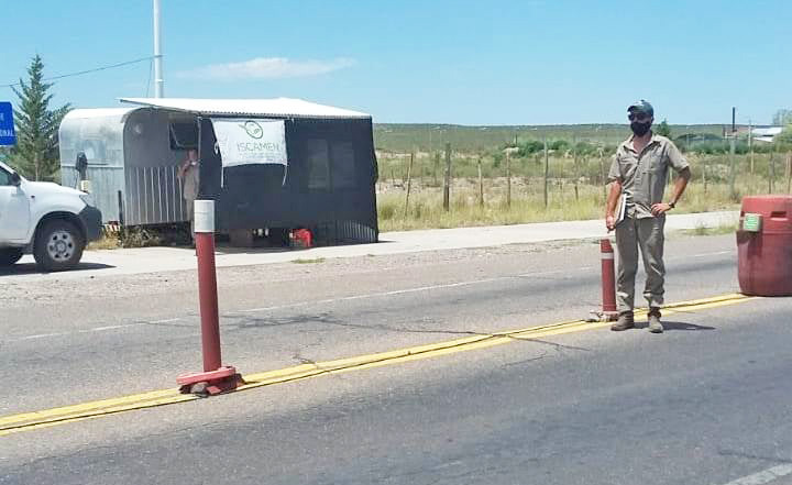Empezó a funcionar el puesto de control en Pareditas para evitar la dispersión de la polilla de la vid en el Sur