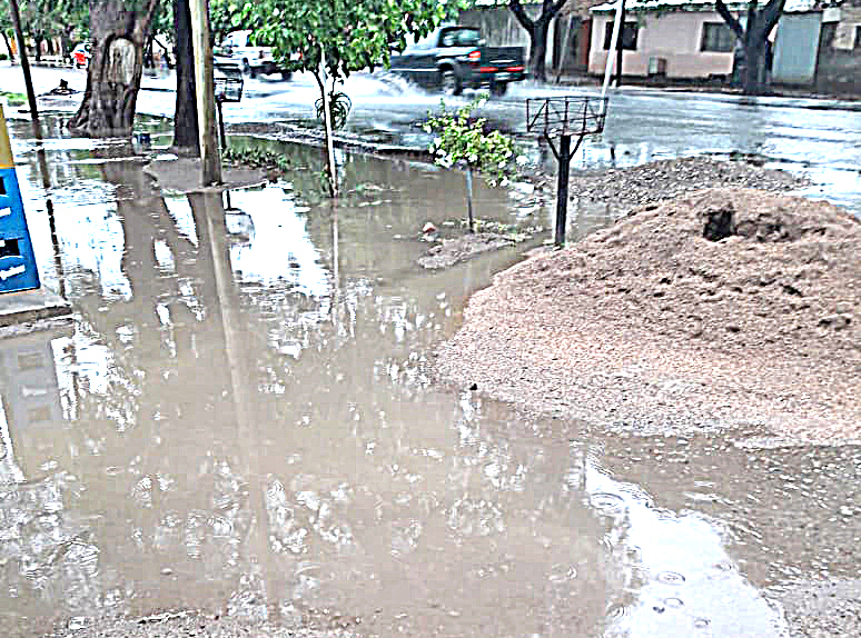 Vecinos del barrio Constitución  reclaman la apertura de acequias