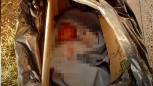 Catamarca: hallaron a una beba recién nacida abandonada en una caja