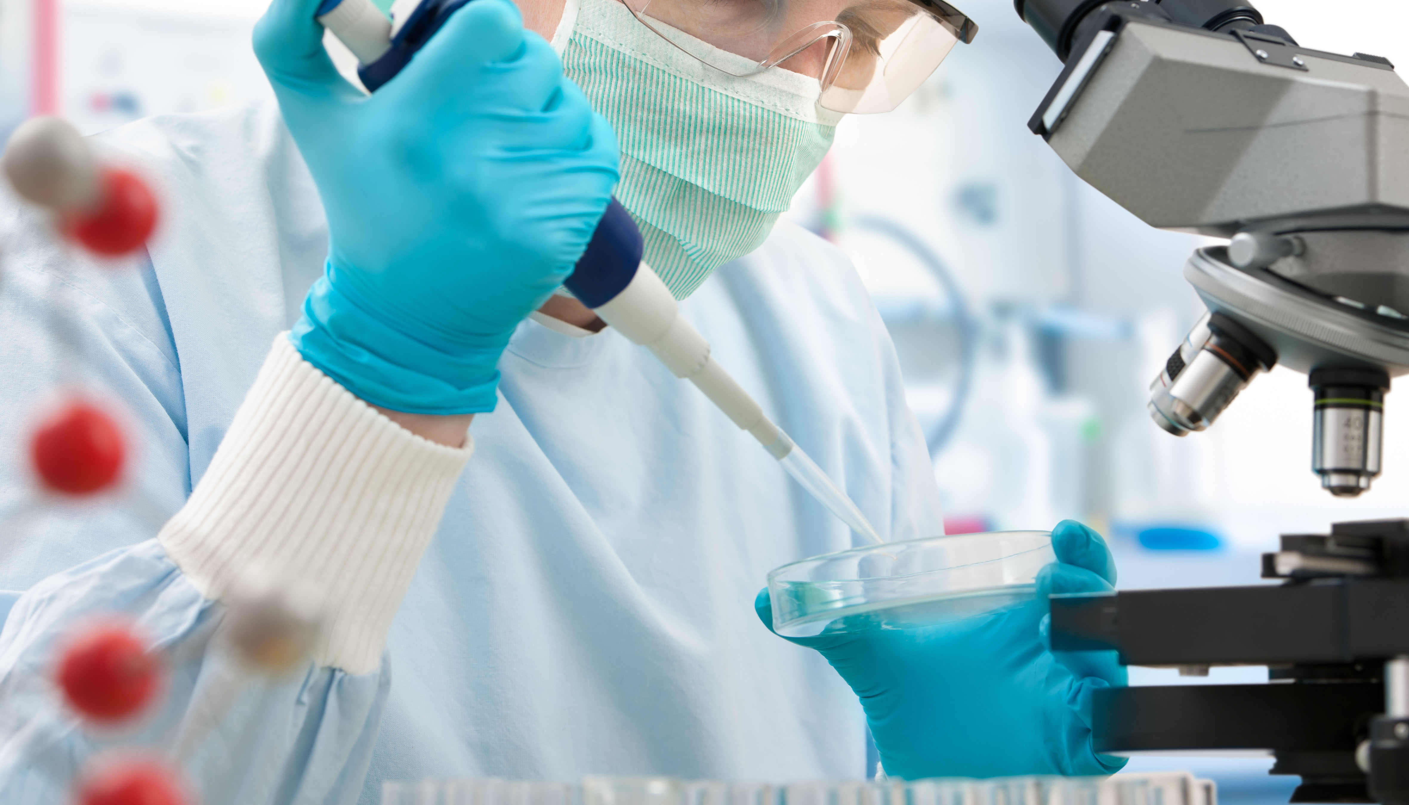 Impulsan crear un banco público  de células madre en Mendoza