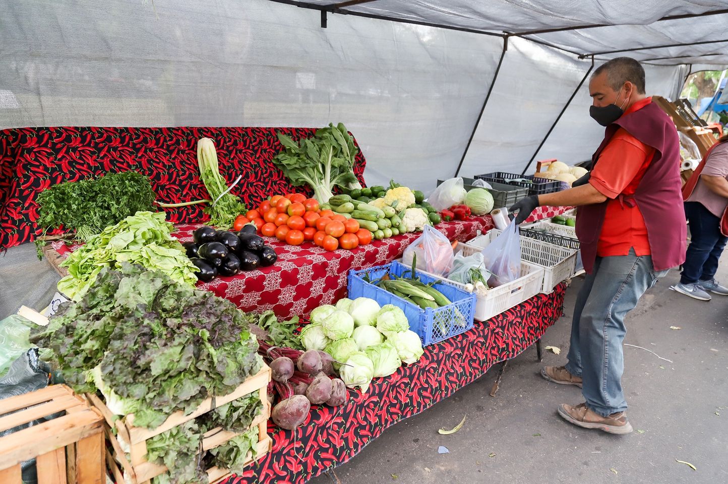 La Feria Franca  trabaja a pleno  y con buenos precios