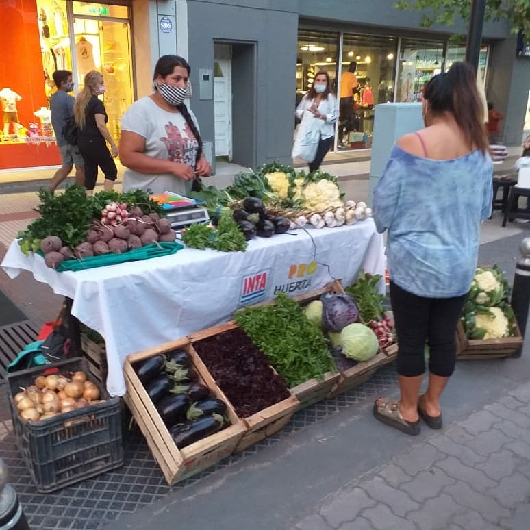 La Feria Verde se instala los fines  de semana en el centro de la ciudad