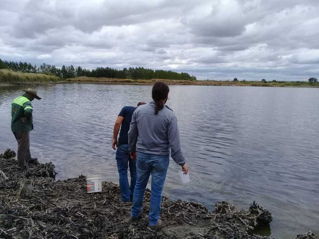 Investigan la muerte de peces en una laguna de Maipú
