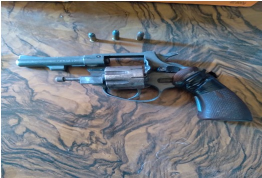 Secuestro de armas y plantas de marihuana en la Isla Río Diamante