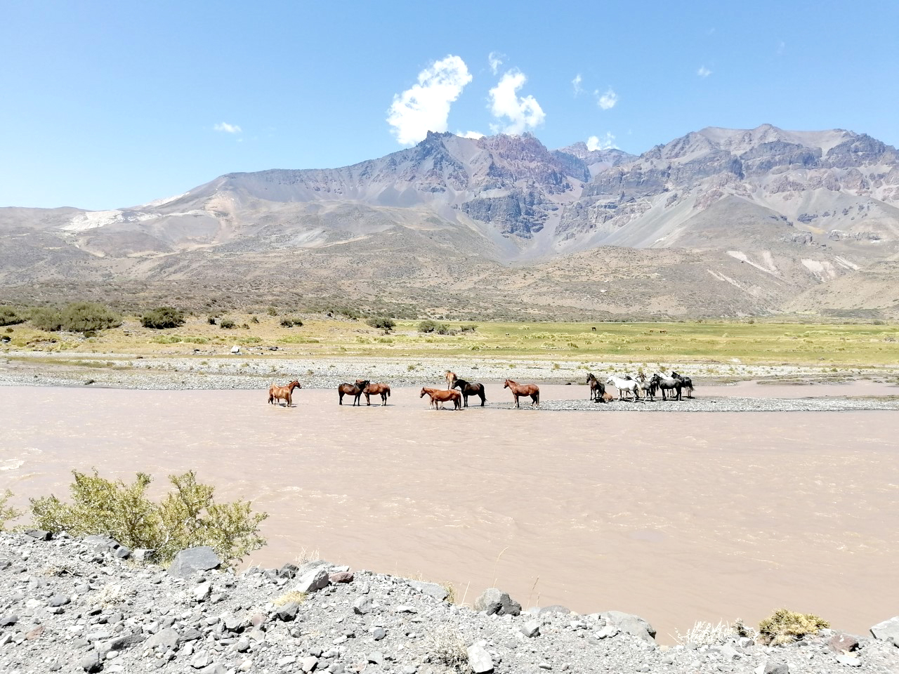 Solicitan la “nulidad” del convenio para  la nueva Reserva Natural Privada en El Sosneado