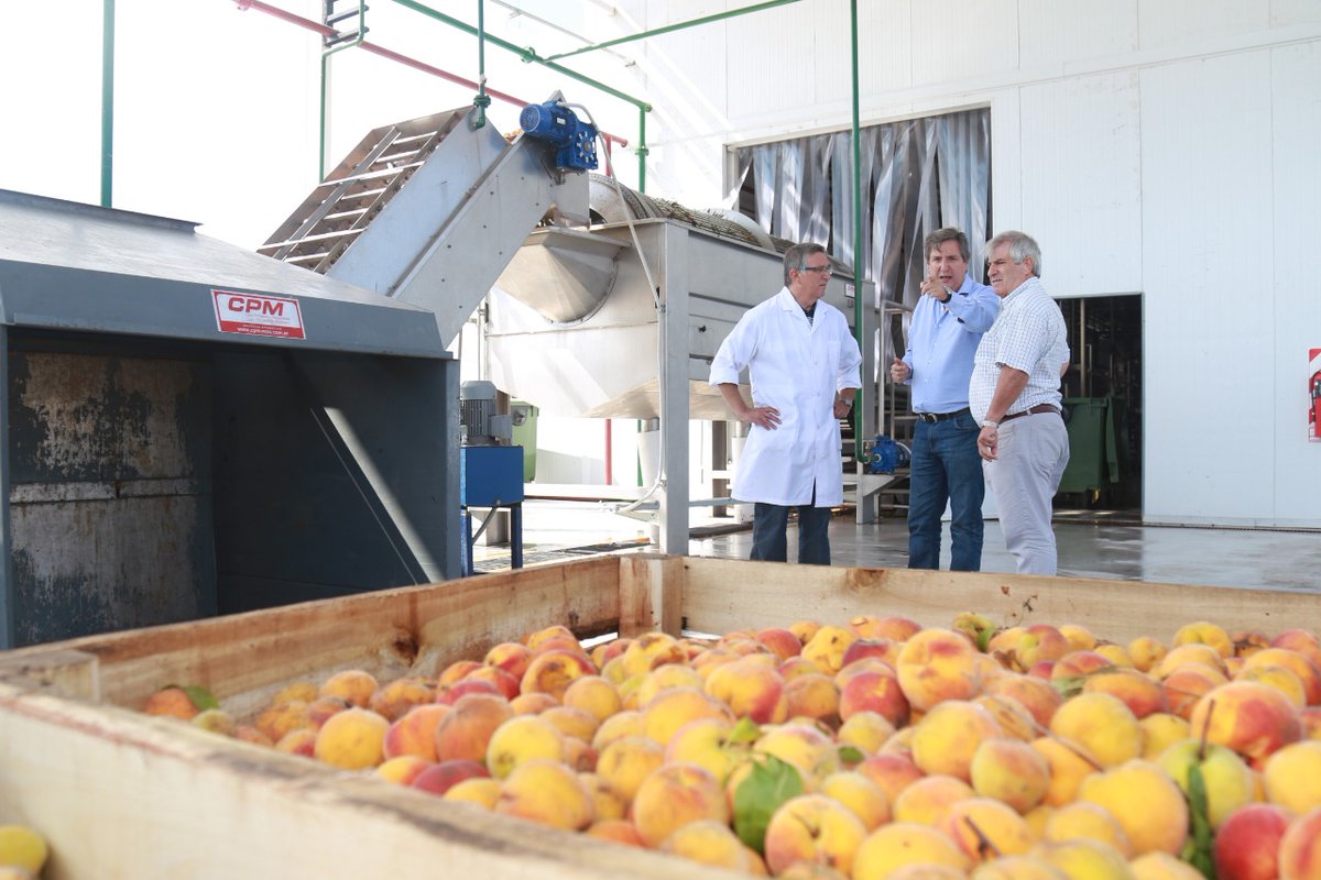 Félix: “Brasil comprobó la calidad de los productos de la pulpera y eso nos abre nuevos caminos”