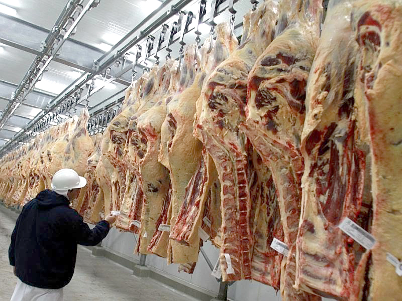 Exportaciones de carne vacuna bajaron 44%