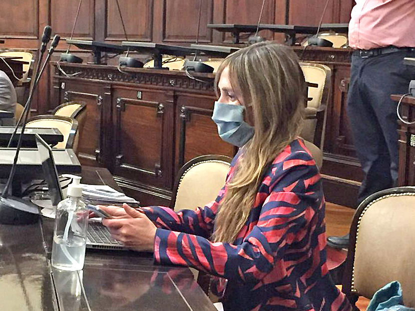 Impuesto automotor: diputada solicita  que se reconsidere el incremento