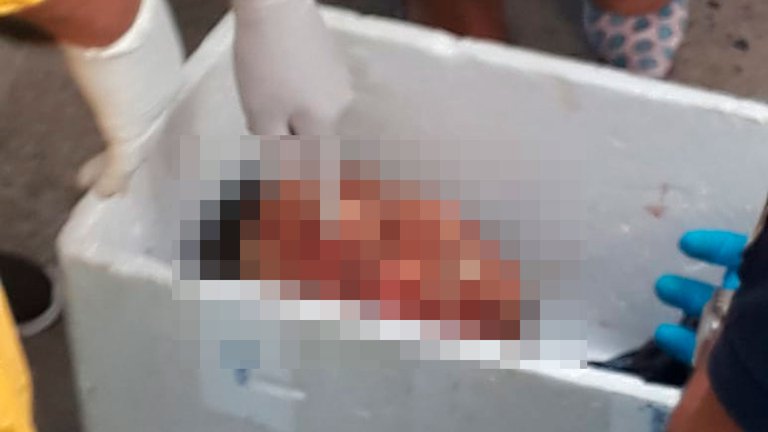 Descuartizaron a un ciudadano chino y encontraron su cabeza en una heladera de telgopor