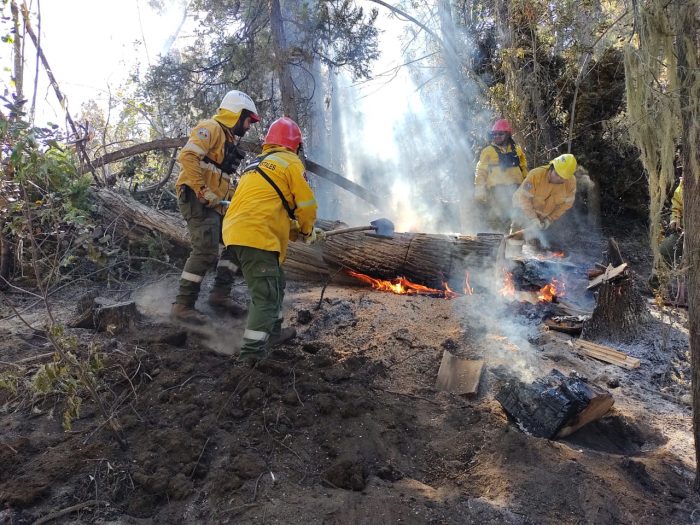 Brigadistas mendocinos luchan contra el fuego en El Bolsón