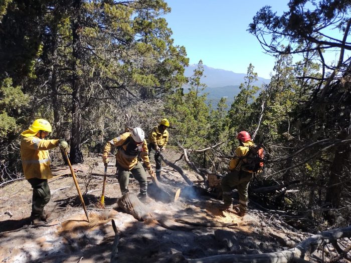 El Gobierno de Río Negro presentó  decretos para evitar nuevos incendios