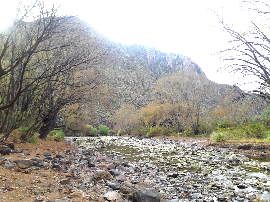 Posible corte del río Atuel: “Hablaría de una falta de sensibilidad  absoluta del Estado”