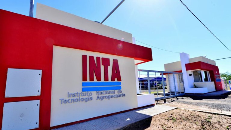 Más tensión entre el Gobierno y el campo: productores advierten sobre “una peligrosa trinchera partidaria” en el INTA