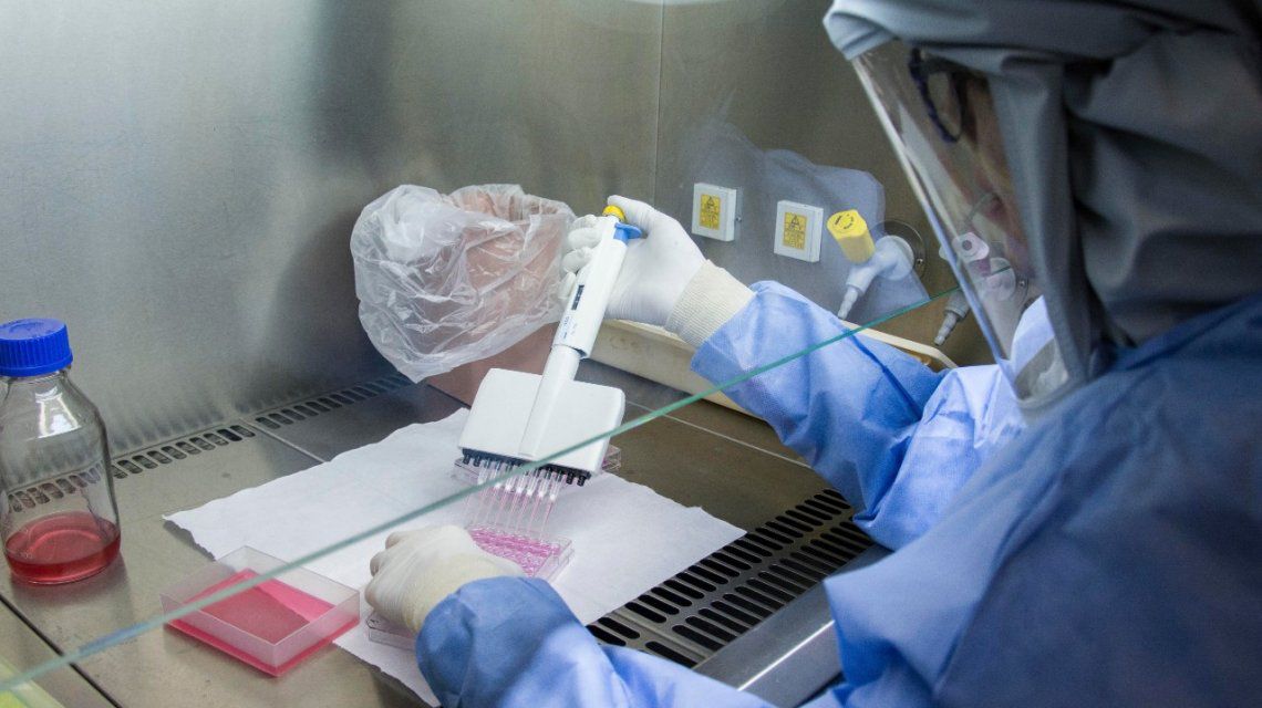 Alerta mundial por la cepa californiana del coronavirus: sería capaz de evadir los anticuerpos de la vacuna