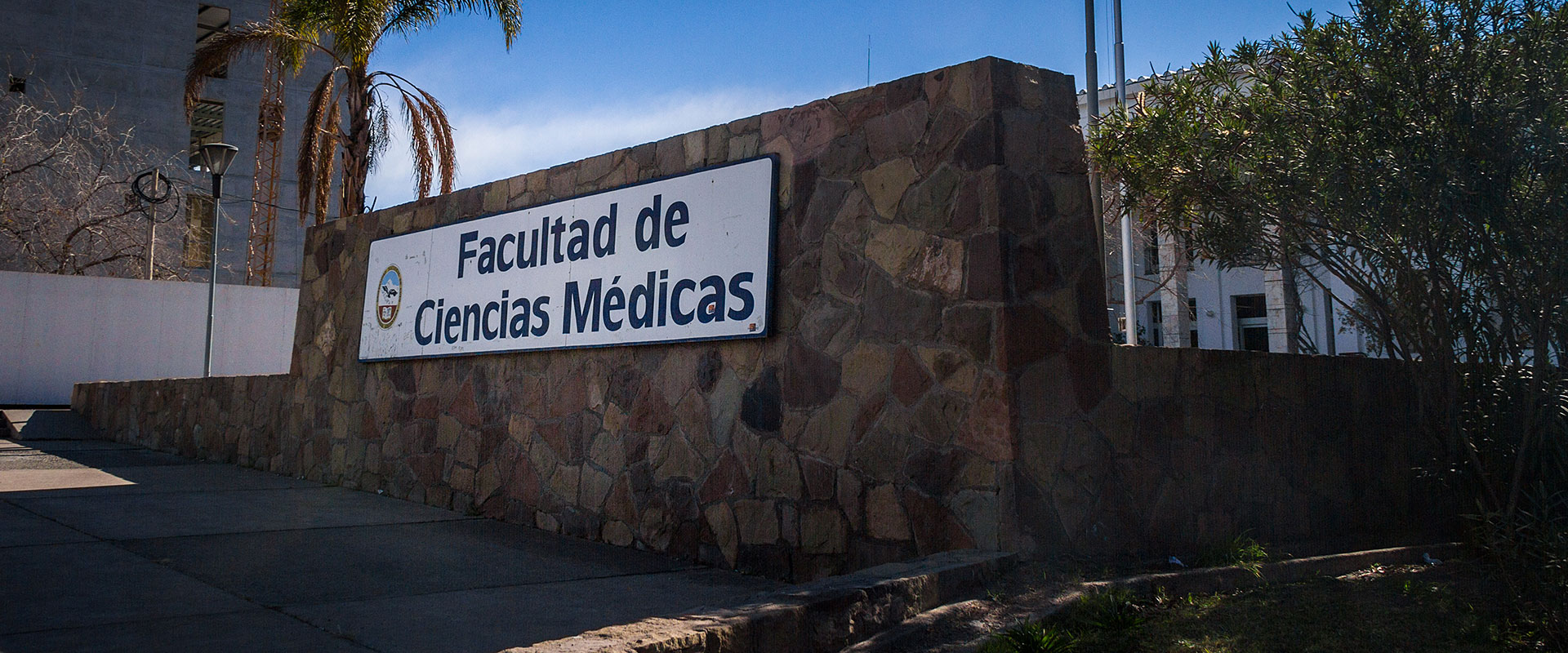 Examen de medicina en la UNCuyo: casi el 90% de los aspirantes reprobaron