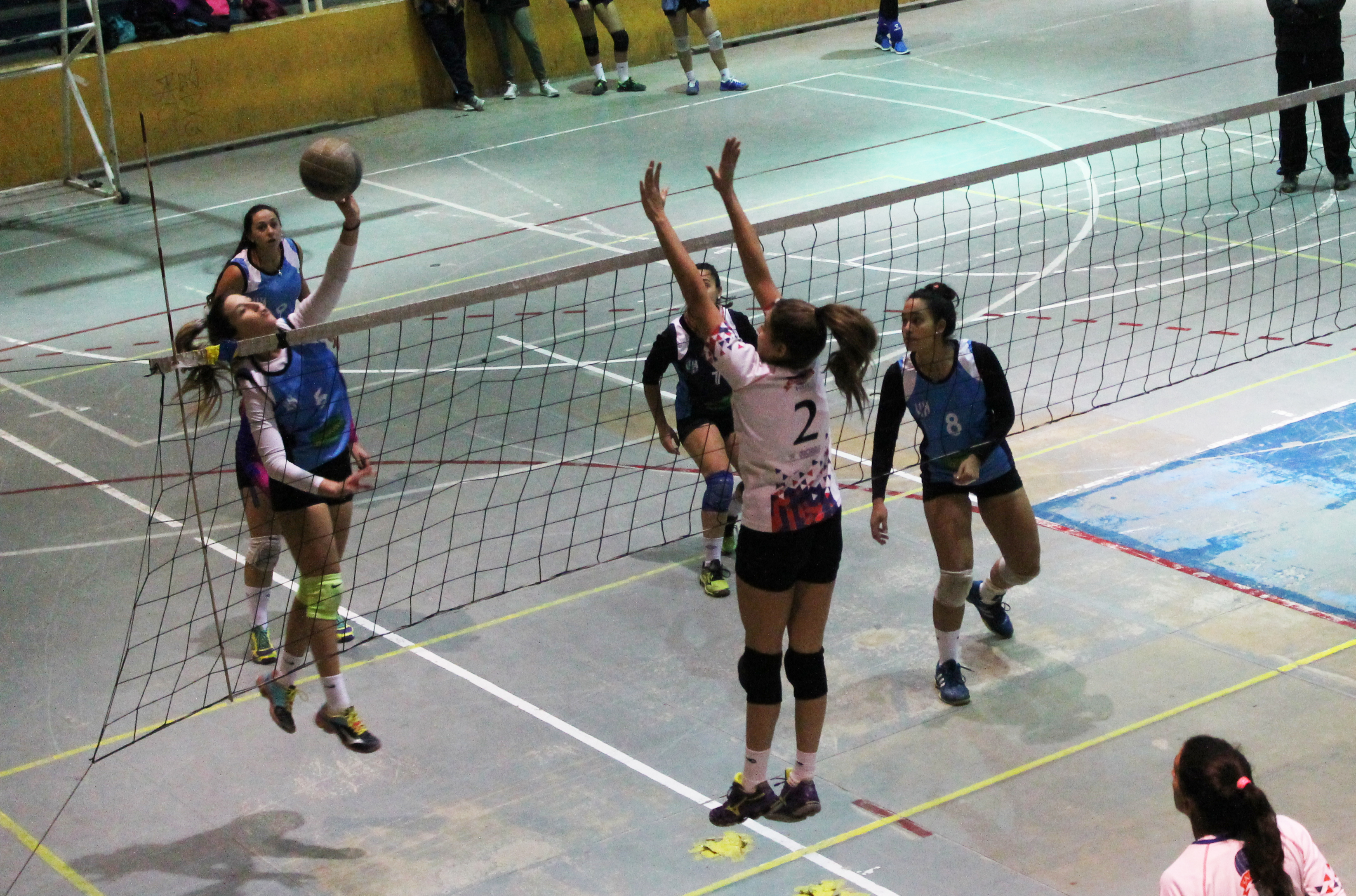 Inició la fase de Copas del torneo sureño de voleibol