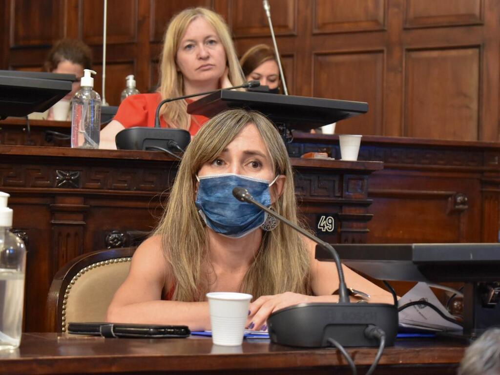 Una diputada mendocina propone declarar a Gildo Insfrán como “persona non grata”