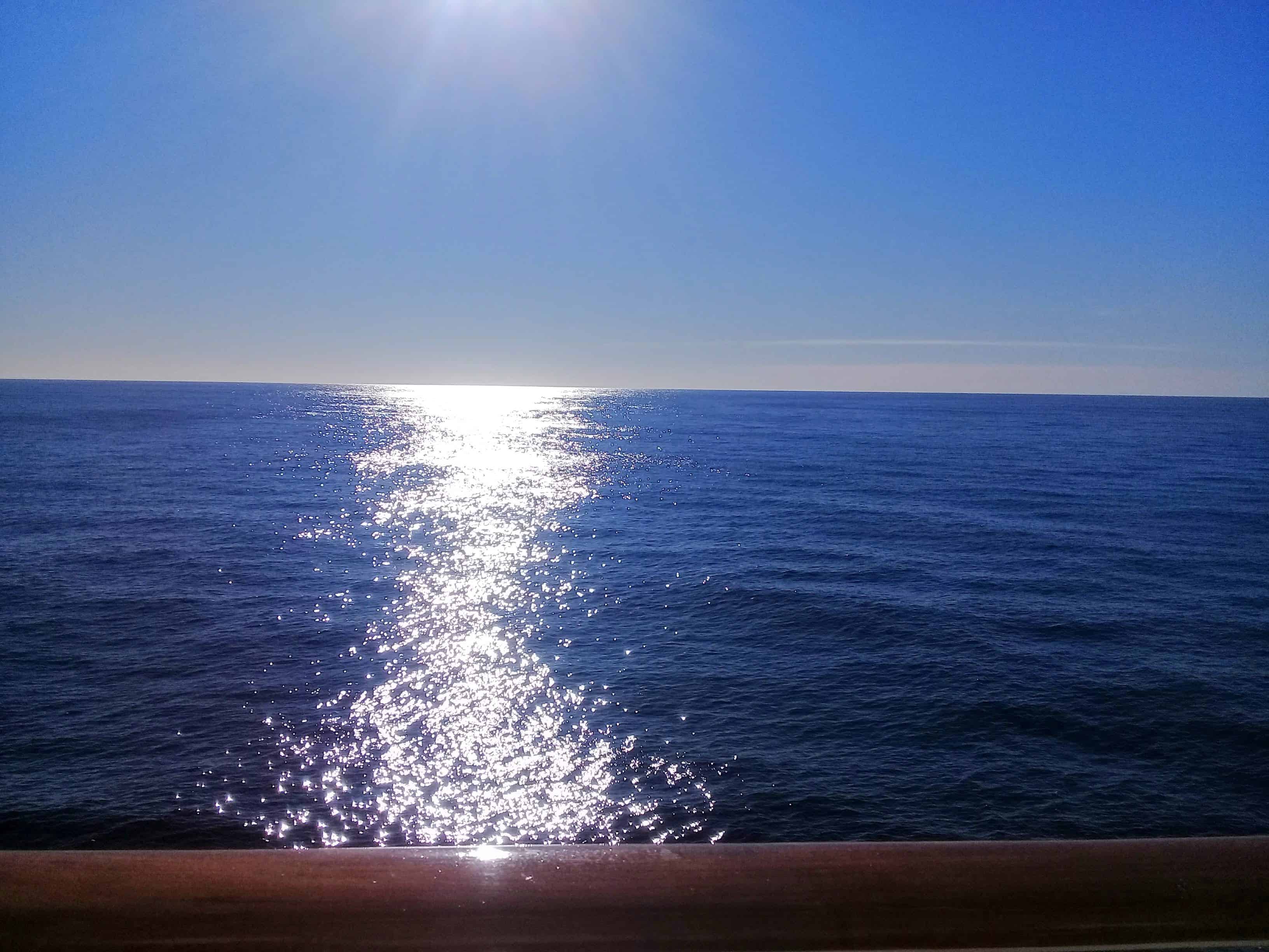 Según el último monitoreo de Greenpeace, el frente del Mar Argentino está “sitiado” por una flota de barcos extranjeros
