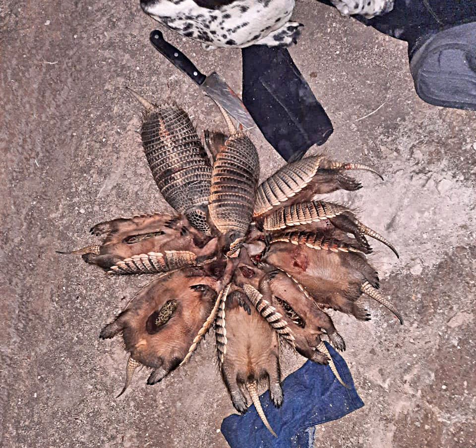 Cazadores furtivos quedaron  detenidos en El Nihuil