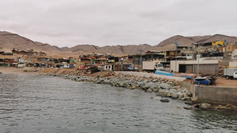 Alerta de tsunami en Nueva Zelanda, Perú y Chile