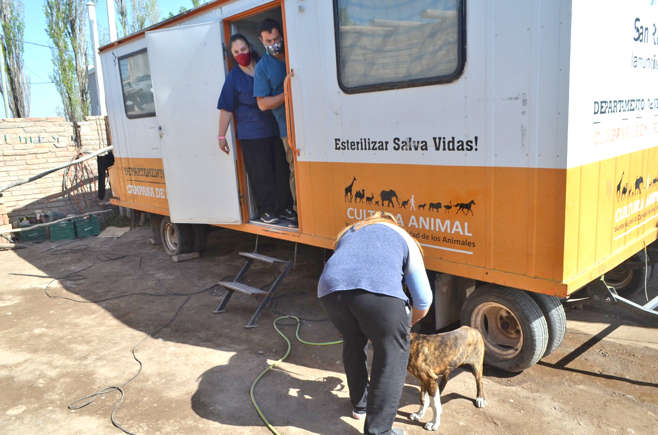 Un quirófano móvil esteriliza perros callejeros  y mascotas en Monte Comán