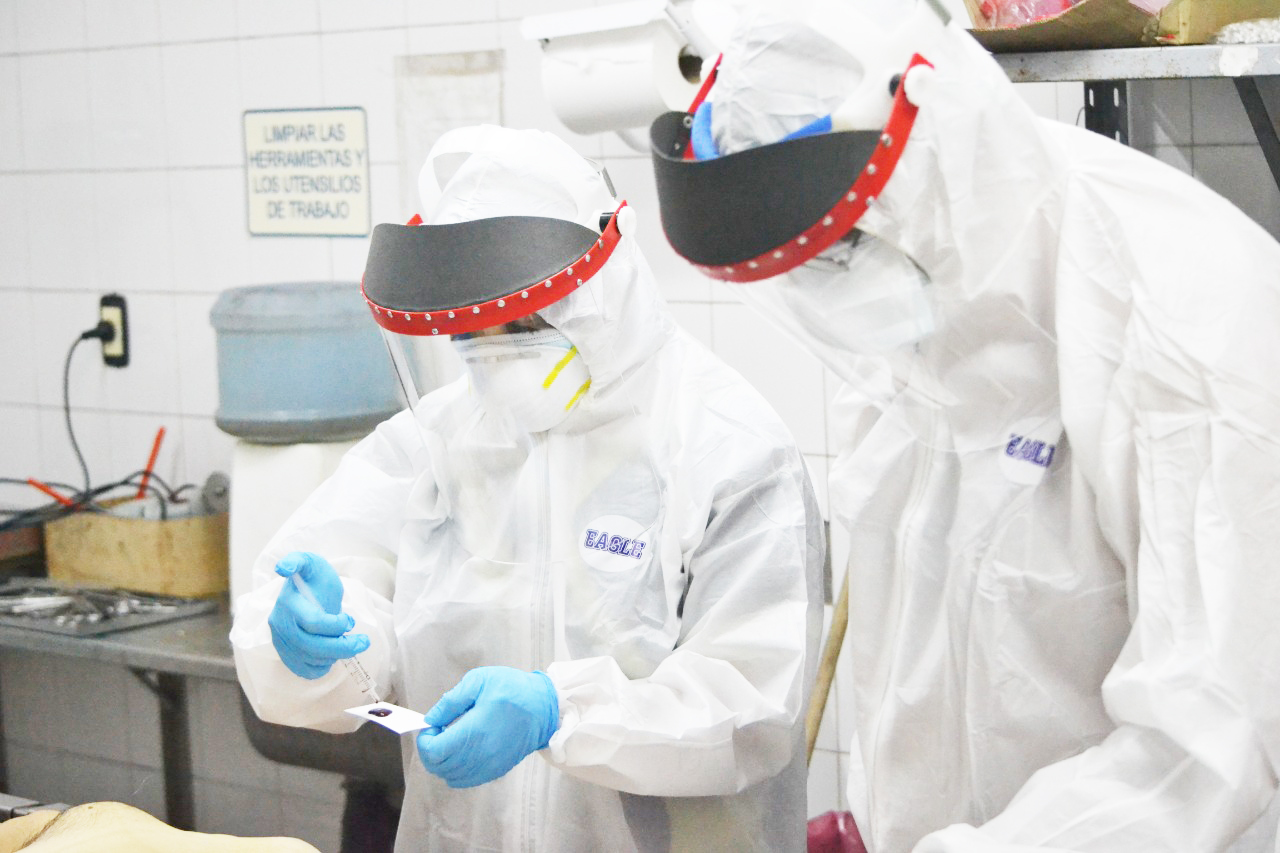 Reconocen que aún  hay muchas cosas  que no se saben sobre el coronavirus el virus