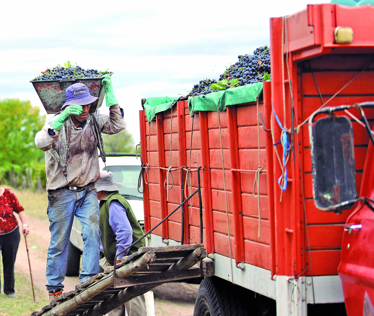 Empleados vitivinícolas reclaman por mejoras salariales