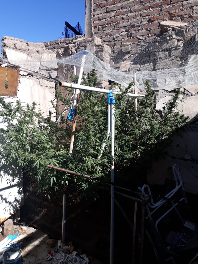 Secuestro de droga y un detenido en San Rafael