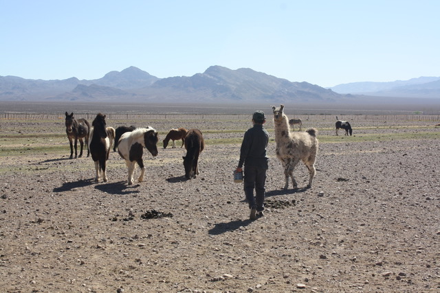 Ecoparque: ya son más de 1.200 los animales adoptados