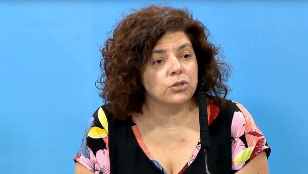 Vizzotti admitió que fue Ginés González García quien ordenó vacunar al ex presidente Duhalde en su casa