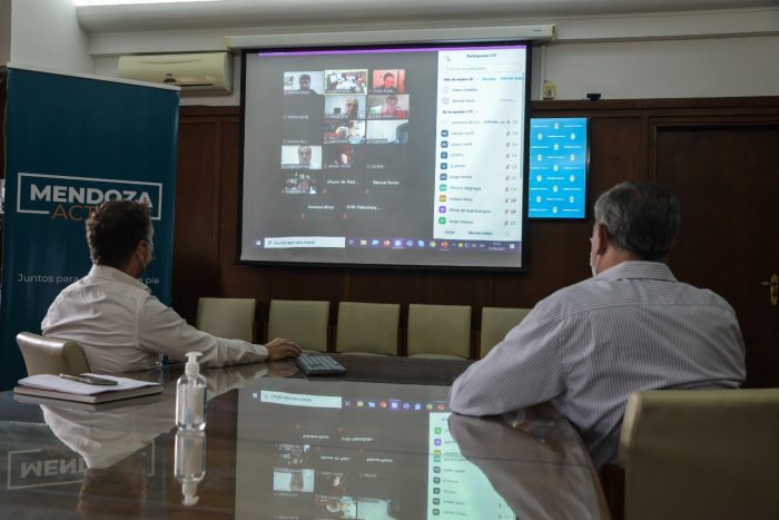 Analizaron la situación y perjuicio de Mendoza  con respecto al Régimen de Promoción de Empleo