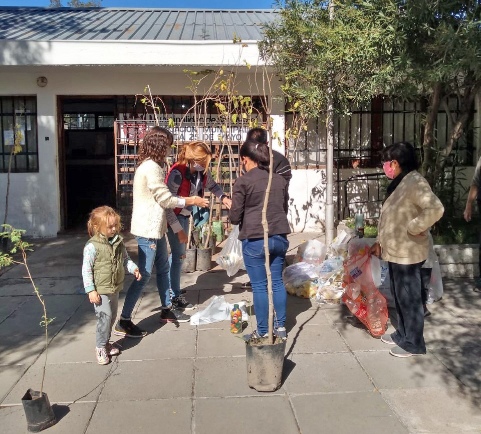 Intercambiaron  árboles por plásticos  reciclables