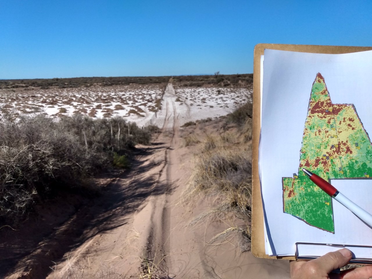 Estudian adaptaciones  tecnológicas para el manejo  sustentable de las tierras en  la ganadería bovina de Mendoza