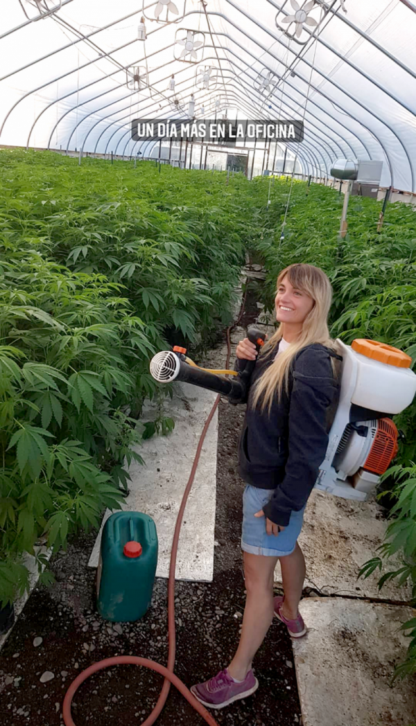 Eugenia Buttini: una exreina sanrafaelina que cosecha cannabis en Estados Unidos