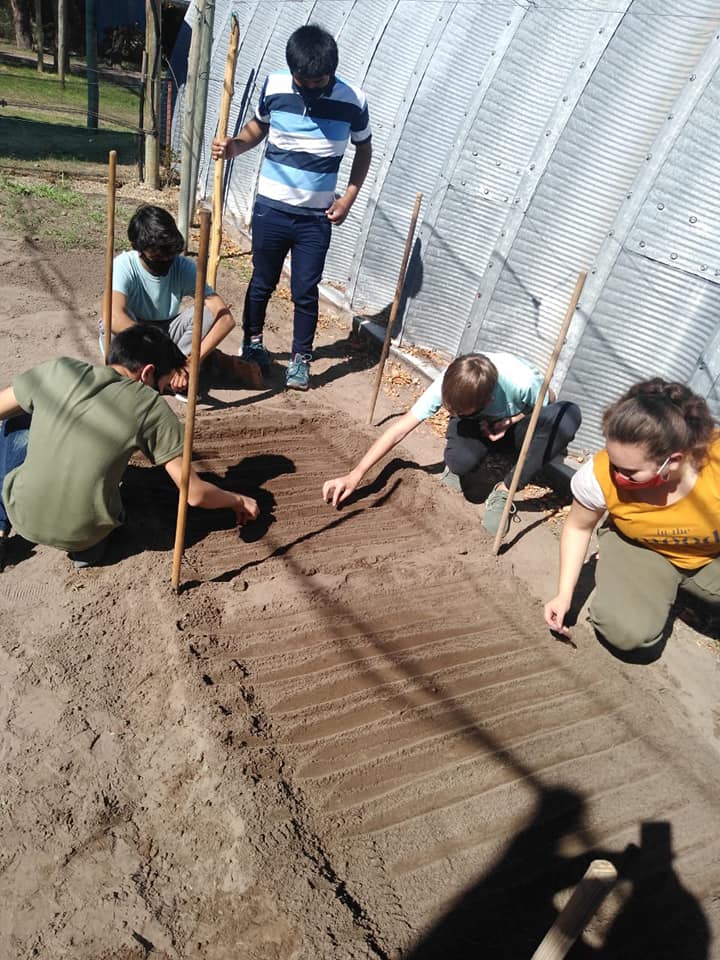 Los alumnos de la escuela Martín Güemes comenzaron con sus trabajos de siembra  y cosecha