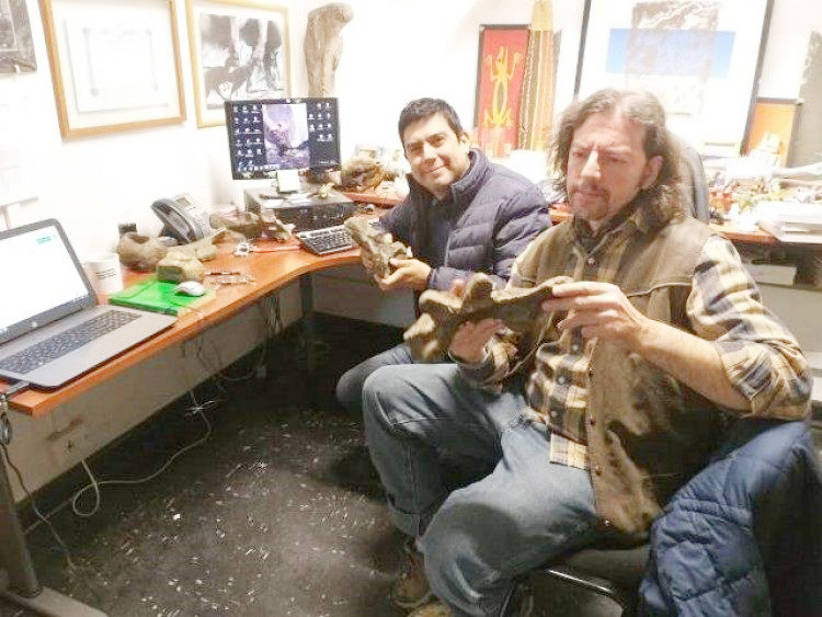 Un mendocino  participó en Chile  del hallazgo histórico de un titanosaurio