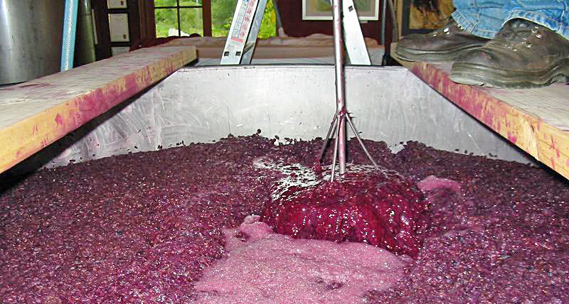 Ya se elaboraron más de 14 millones  de litros de vino en San Rafael