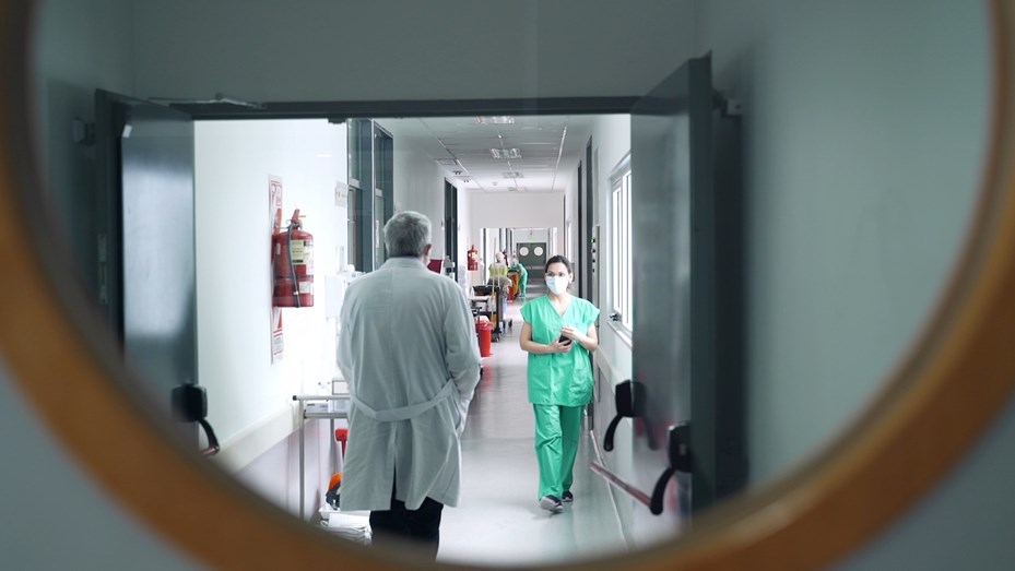 Gripe H5N8 en China: infectó a siete personas y podría desembocar una nueva pandemia