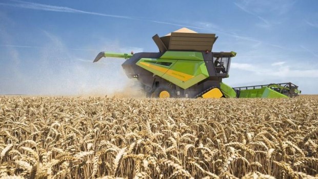 El ingreso de divisas por el trigo será récord