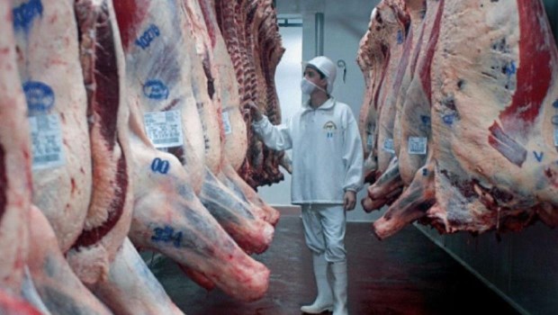 Advierten que con la suspensión de exportaciones de carne se perderían 500.000 puestos de trabajo