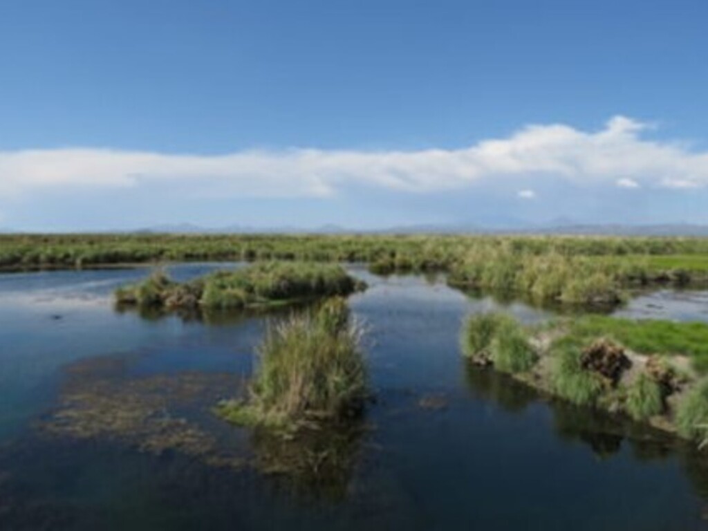Llancanelo: apuestan a la restauración del principal humedal mendocino