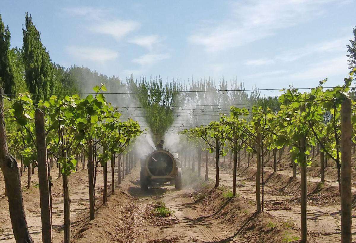 El INTA San Rafael  pone a disposición  sus profesionales  para evacuar consultas