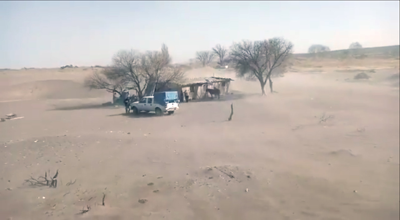Harán una caravana de 1000 kilómetros para llevar verdura fresca a los puestos del secano