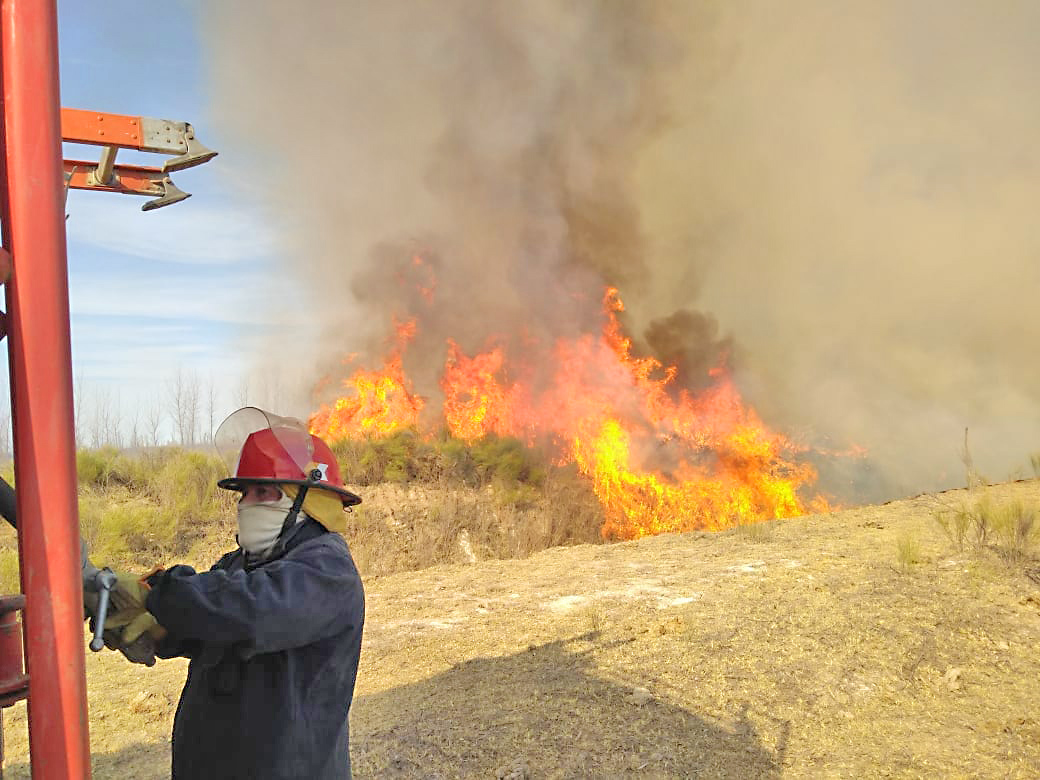Incendios forestales: durante el último año  se labraron multas por 1,2 millones de pesos en el Sur