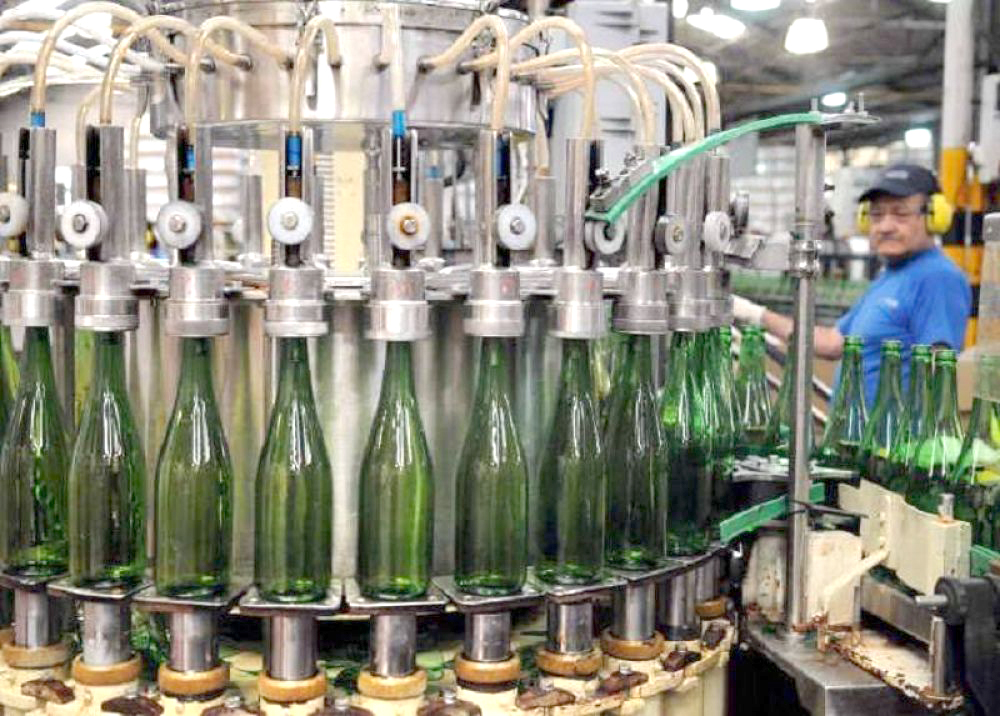 Ya se elaboraron más de 33 millones de litros de vino en San Rafael