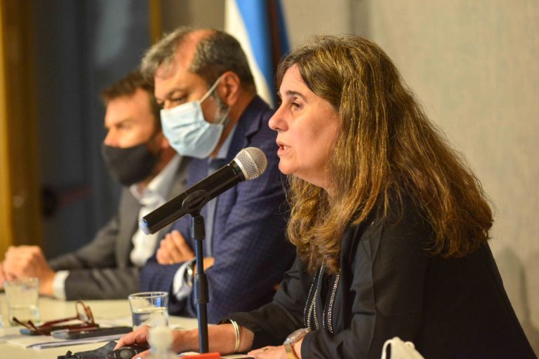 La ministra de Salud expuso ante la Bicameral de Seguimiento de Covid-19 la gestión de la pandemia